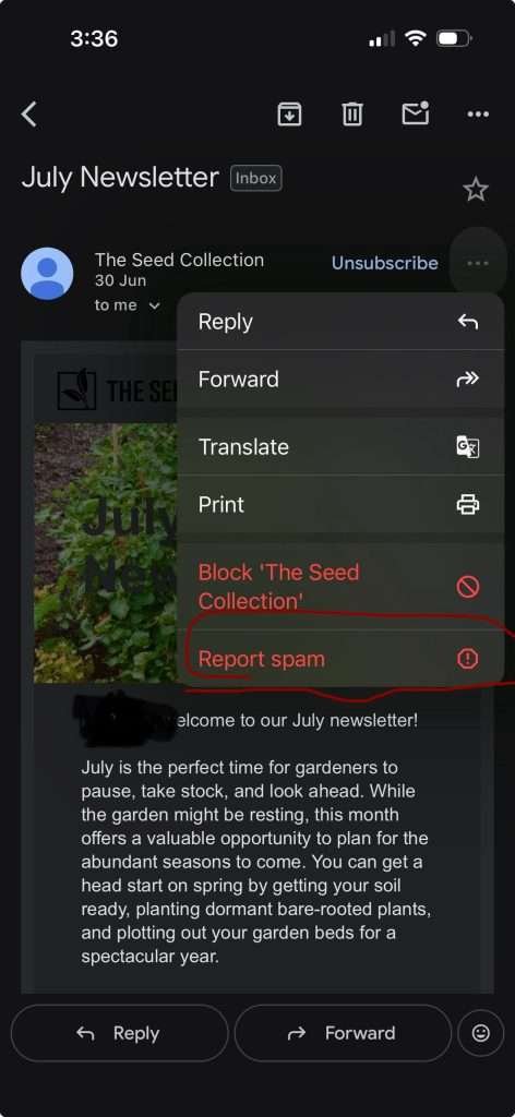 How to report Phinshing email on Gmail-iphone