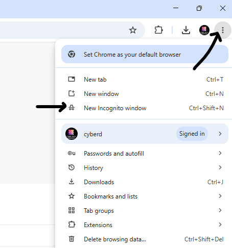 Your connection is not private -incognito window